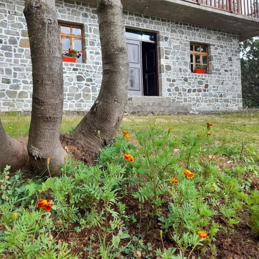 Hotel Grabova Grabove e Siperme ภายนอก รูปภาพ